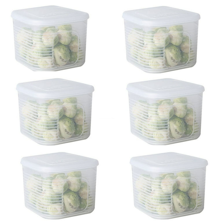 Fridge Food Storage Container with Airtight Lid , 6 Removable Plastic Small  Boxes, Reusable Fruit & Vegetable Organizer, Stackable for Storage Storage