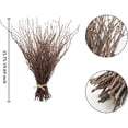thumbnail image 4 of Triani 20Pcs Natural Birch Twigs Branches 19.6" Dried Plants Decorative for Decoration Curly Willow Branches Twigs for Vase Fillers Party Supplies Home Ornament, 4 of 7