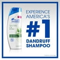 thumbnail image 4 of Head and Shoulders 2 in 1 Dandruff Shampoo, Tea Tree Oil, 13.5 fl oz, 4 of 9