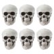 thumbnail image 1 of 6pcs Realistic Plastic Skull Mini Horriable Jaw Halloween Prop Ornament Halloween Party Decoration, 1 of 4
