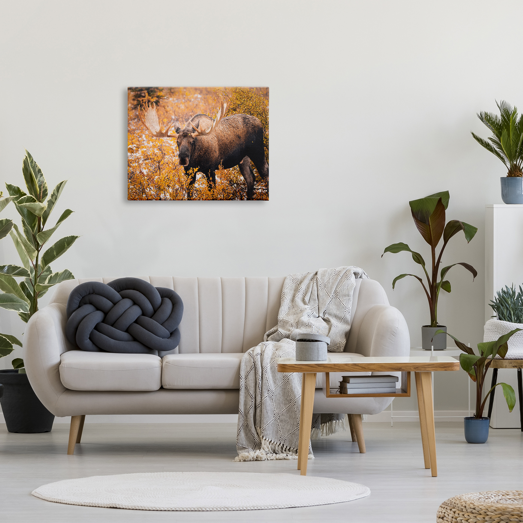 Stupell Industries Moose in Autumn Foliage Animals & Insects Photography Gallery Wrapped Canvas Art Print Wall Art, 30 x 24