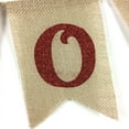 thumbnail image 5 of AURARMLET Wall Flag Multi-Colored 1Pack Simple Design Wedding Banner, 5 of 8
