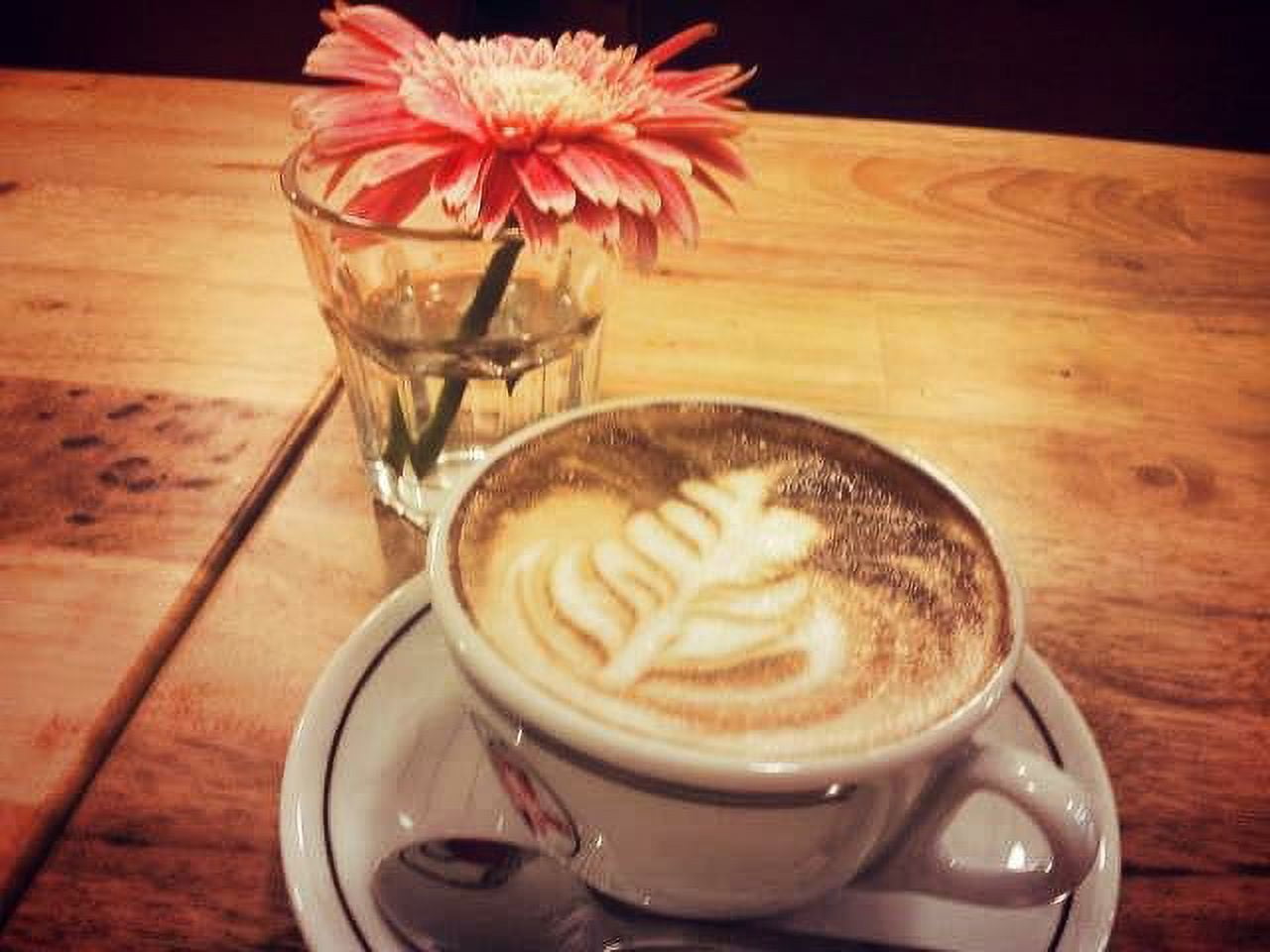 Guatemala coffee, Antigua, Medium Roast, Whole Bean, 16 oz.
