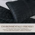 thumbnail image 5 of Dual-Sided Velvet Box-Stitched Heavyweight 3-Piece King Quilt Set, Black, 5 of 6