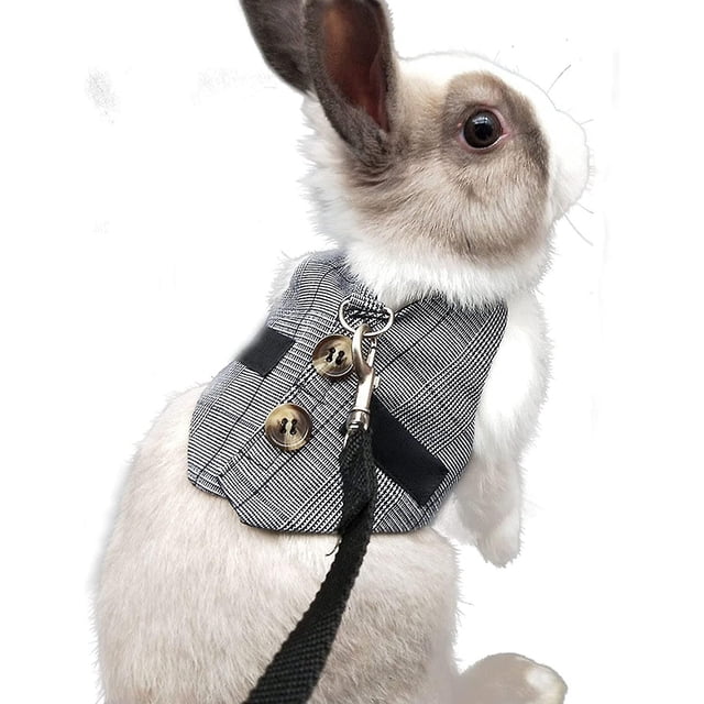 Arnés de disfraz ajustable de conejo, juego de arnés y correa para animales pequeños para animales pequeños, conejos, hámsteres, gatos, gris, L