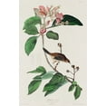 thumbnail image 2 of Audubon, John James 17x24 Gold Ornate Wood Framed with Double Matting Museum Art Print Titled - Bachmans Finch, 2 of 4