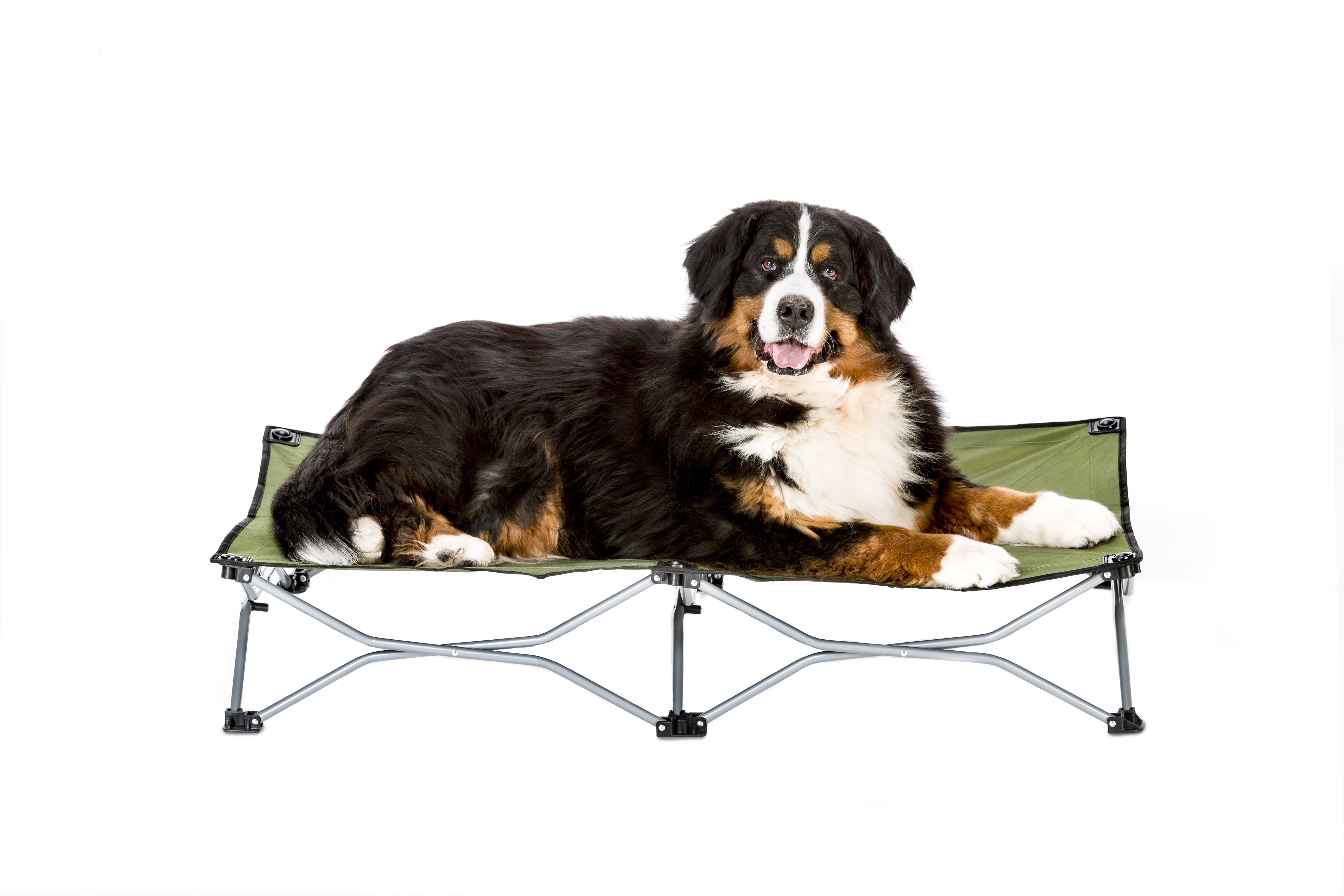 Carlson Folding Elevated Dog Bed, Green, 48"L x 26"W x 9"H Walmart