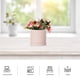 thumbnail image 4 of Caja de regalo para flores, caja de embalaje para ramo de flores, cartón, cubo redondo para flores., 4 of 6