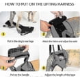 thumbnail image 4 of Dog Sling For Dogs Hind Leg To Rehabilitate The Hind Limbs Of Elderly Dogs With Weak Hind Legs Disabilities, 4 of 5