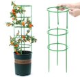 thumbnail image 3 of Support de Plante Réglable pour Tomate avec Piquets pour Plantes en Pot, 1 Ensemble, 3 of 6