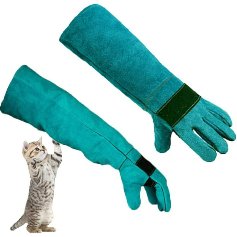 Ancol Ergo Grooming Glove – Jurassic Bark Pet Supplies