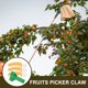 thumbnail image 2 of 1 juego de herramientas para recoger nísperos y naranjas, accesorios para recoger frutas., 2 of 7