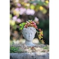 thumbnail image 5 of Greek Style Cement Head Planter, 900ML Capacity Statue Plant Pot for Indoor & Outdoor Home Garden Decor, 5 of 13