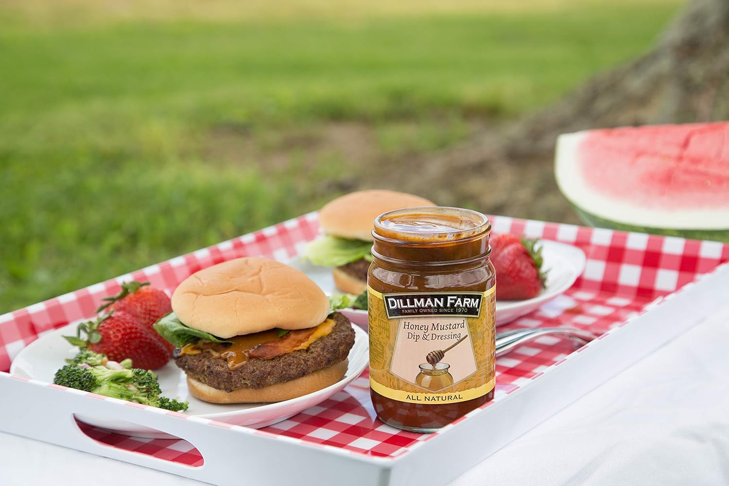 Dillman Farm All Natural Gourmet Honey Mustard 14oz (Pack of 3 ...