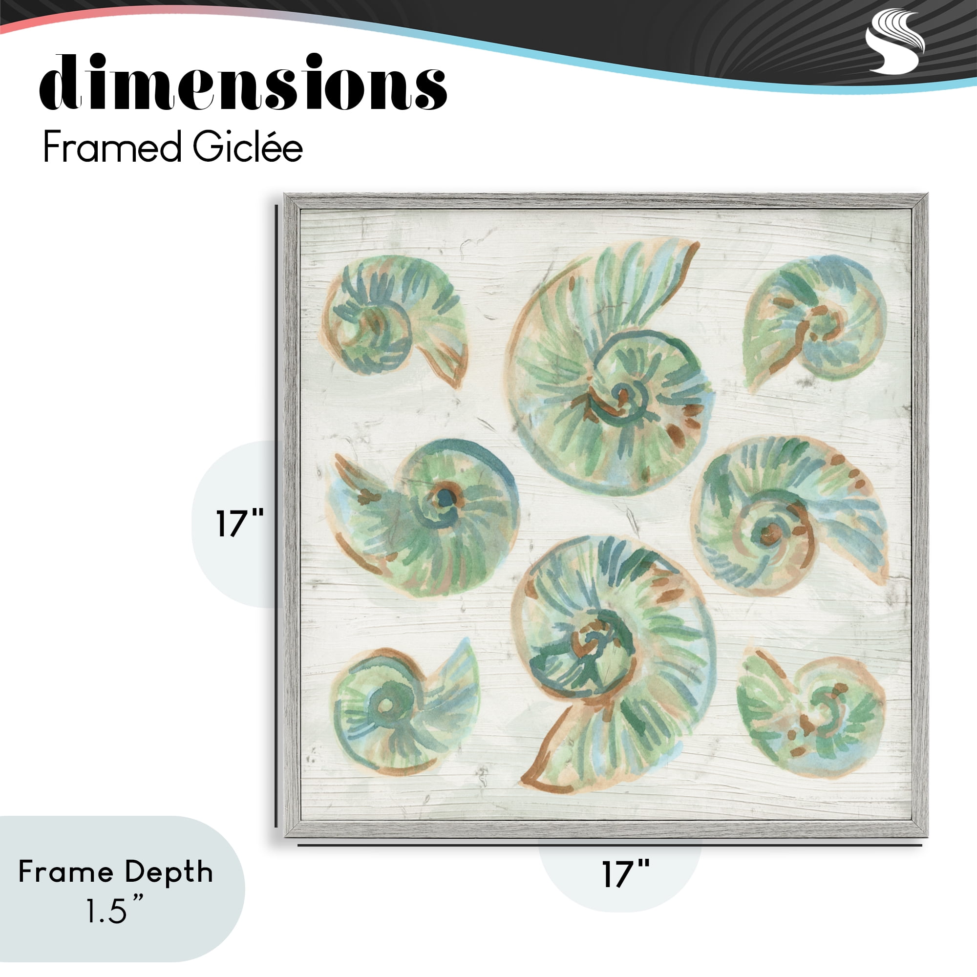 Stupell Industries Organic Saltwashed Shells Gray Framed Giclee Art, design by June Erica Vess