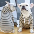 thumbnail image 1 of Rayas Primavera/Verano Nueva Moda Sudadera Con Capucha Perro/Gato Ropa Gao Jinjia unisex, 1 of 2