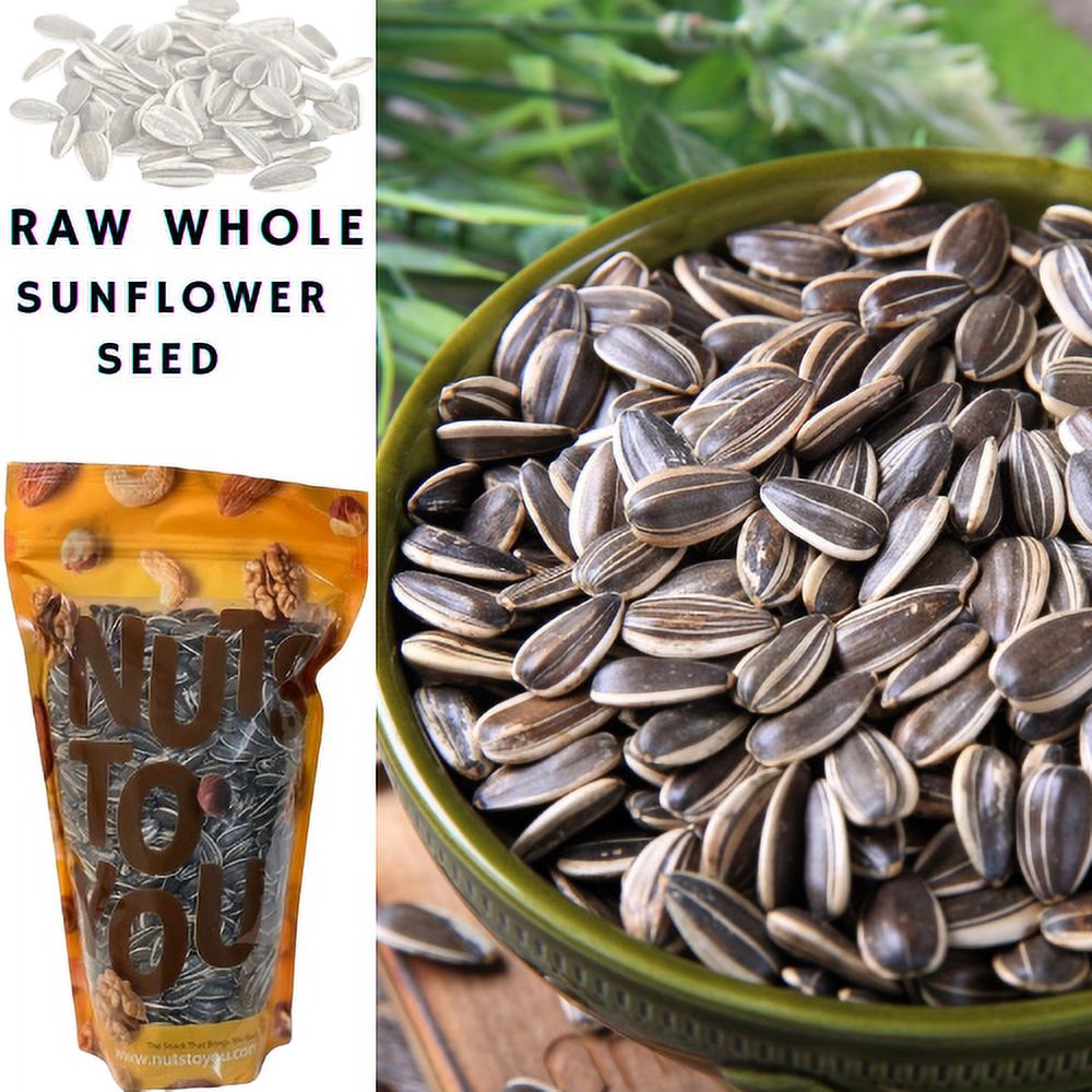 4LB Raw Whole Sunflower Seed in Shell by Nuts to You | Essential Vitamins & Minerals | Healthy Superfood Snack