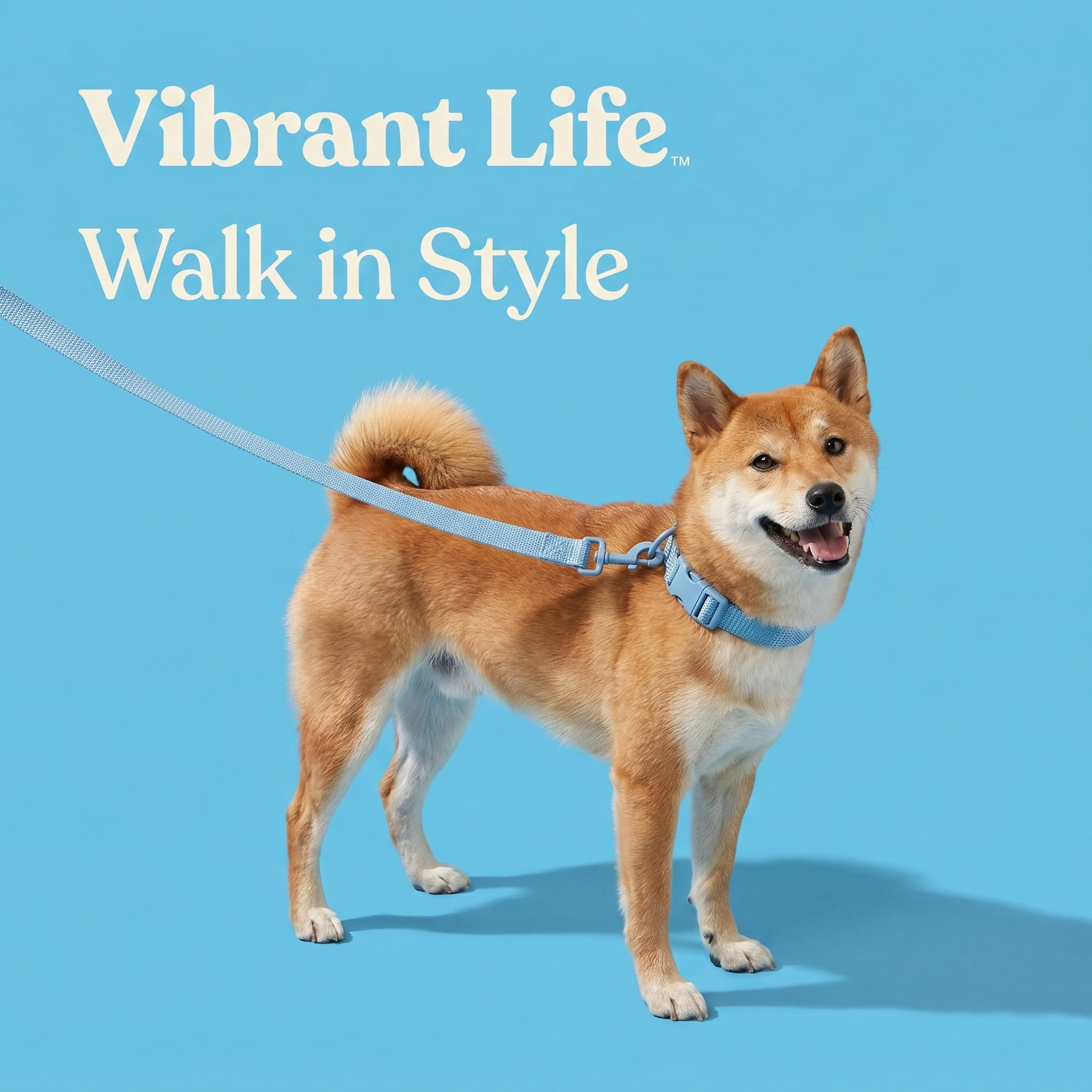 Vibrant Life Adjustable Neoprene Cushioned Dog Collar, Blue, M