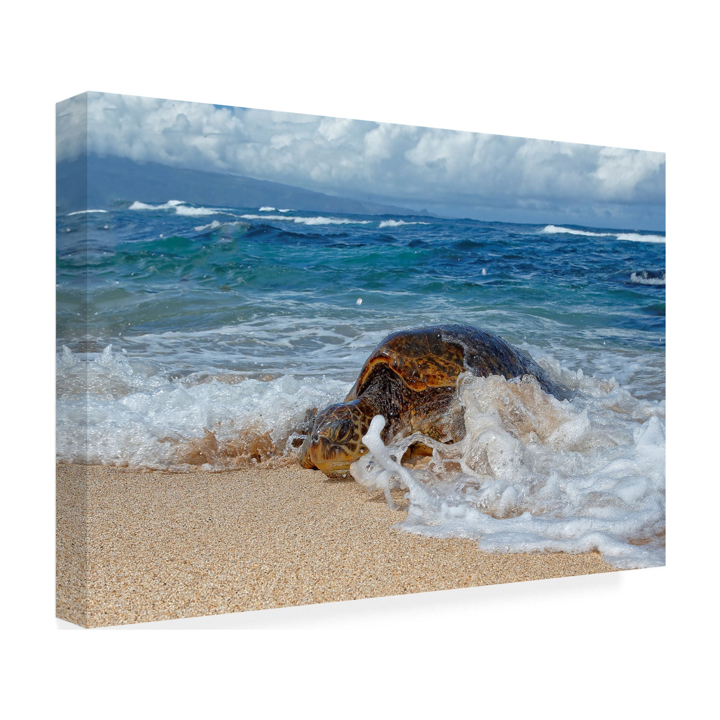 Peter Stahl 'From The Sea' Canvas Art