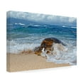 thumbnail image 4 of Peter Stahl 'From The Sea' Canvas Art, 4 of 4