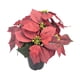 thumbnail image 4 of Planta de Pascua artificial navideña con flores artificiales en maceta decorativa navideña 9 cabezas, 4 of 9