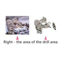 thumbnail image 3 of Diy 5d pintura diamante bordado animales cruz artesanía kit de costura tigre 2 Sunnimix Kits de pintura de diamante 5D, 3 of 8