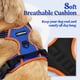 thumbnail image 2 of Arnés para perros Rabbitgoo sin tirones, ajustable, azul y naranja M, 2 of 6