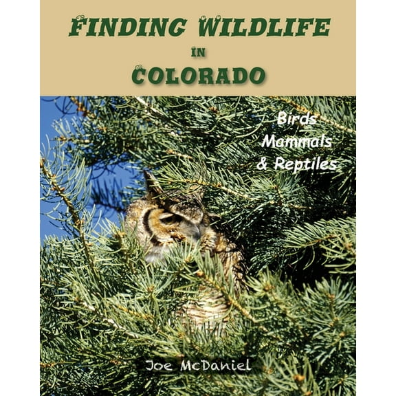 Finding Wildlife In Colorado: Birds, Mammals and Reptiles, (Paperback)
