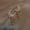 #9, variant on 925 Silver Sun Moon Star Dangle Drop Earrings Women Wedding Party Jewelry Gifts-#14