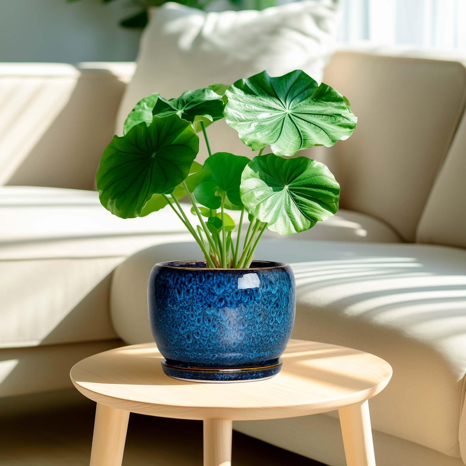 Flower Pots 8 inch, Modern Medium Round Ceramic Planter with Drainage, Gift for Women & Mom, for Orchids & Indoor Plants, Blue Glaze