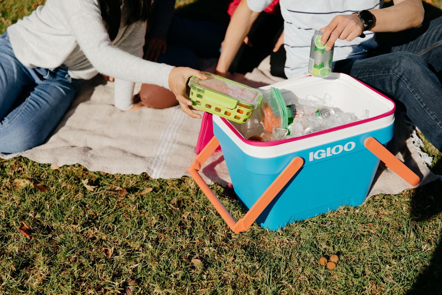 Igloo 25 Quart Picnic Basket Cooler, Cooler