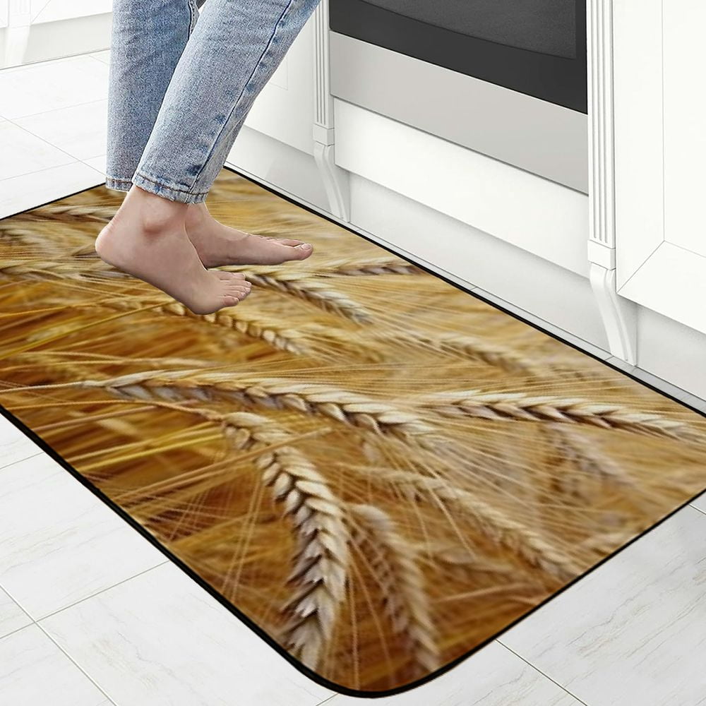 PHYHOO Decorative Door Mat, Door Mat with Non-Slip Rubber Backing, Easy Cleaning, Traps Dirt, Rug for Entry, Patio, Garage - Spike Barley Cereals Barley Field Nature Field 19.68*47.24 in