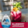 Liquid Water Enhancer, Blueberry Lemonade, 1.62 Oz (Pack 6)