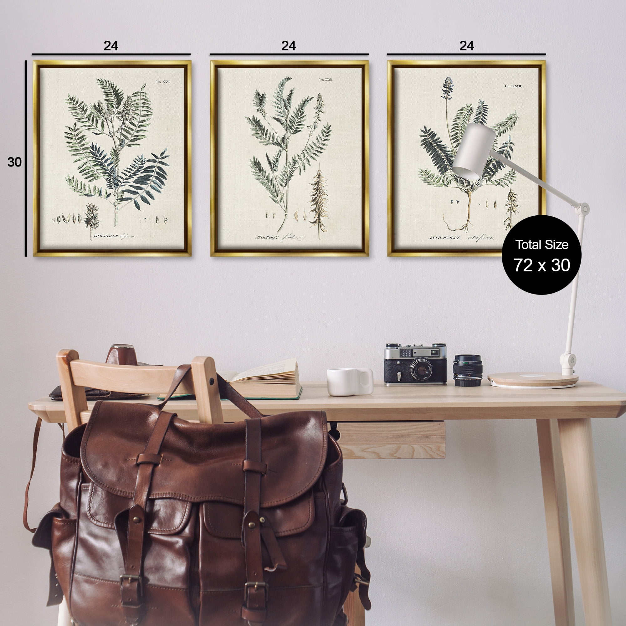 Stupell Industries Green Botanical Latin Study Botanical & Floral Drawing Gold Floater Framed Canvas Art Print Wall Art, 25 x 31, Set of 3