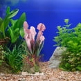 thumbnail image 2 of OULII Artificial Grass For Fish Tank Assorted Color Plastic Plants 1Set, 2 of 8