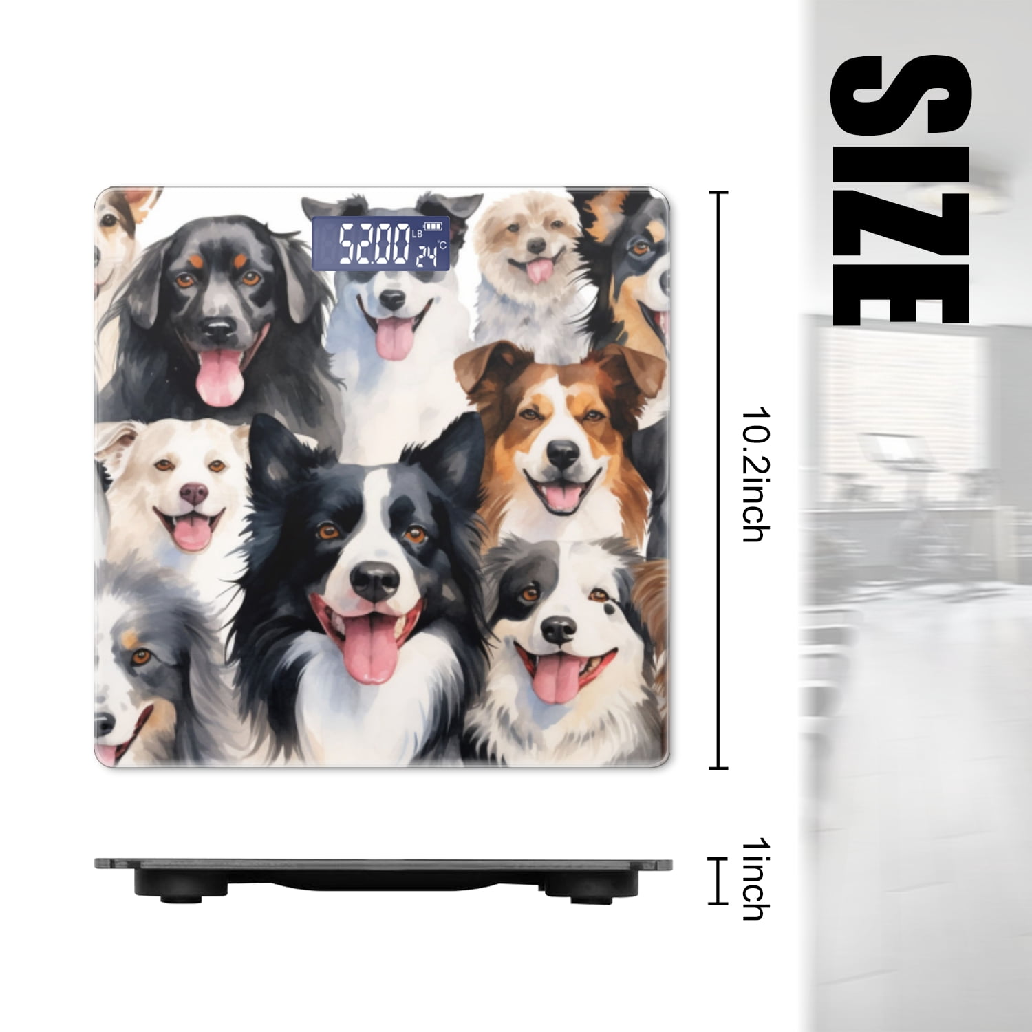 High Precision Body Weight Scale Smart Bathroom Scales with Large LCD Display(400lbs),Decorative for Bedroom-Different Border Collies Beaming With Smiles