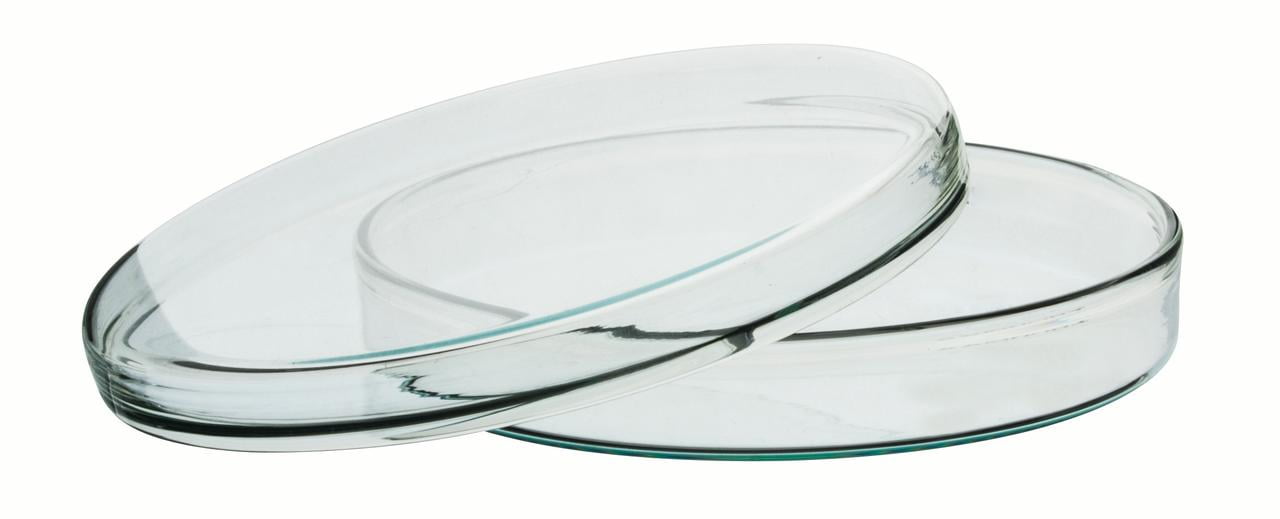 6.5" Petri Dish Premium Borosilicate Glass .75" Depth Eisco Labs