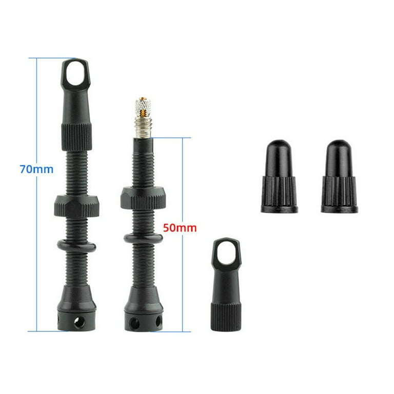 Presta deals valve walmart