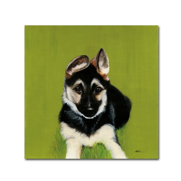 Bonelli' Canvas Art by Patsy Ducklow