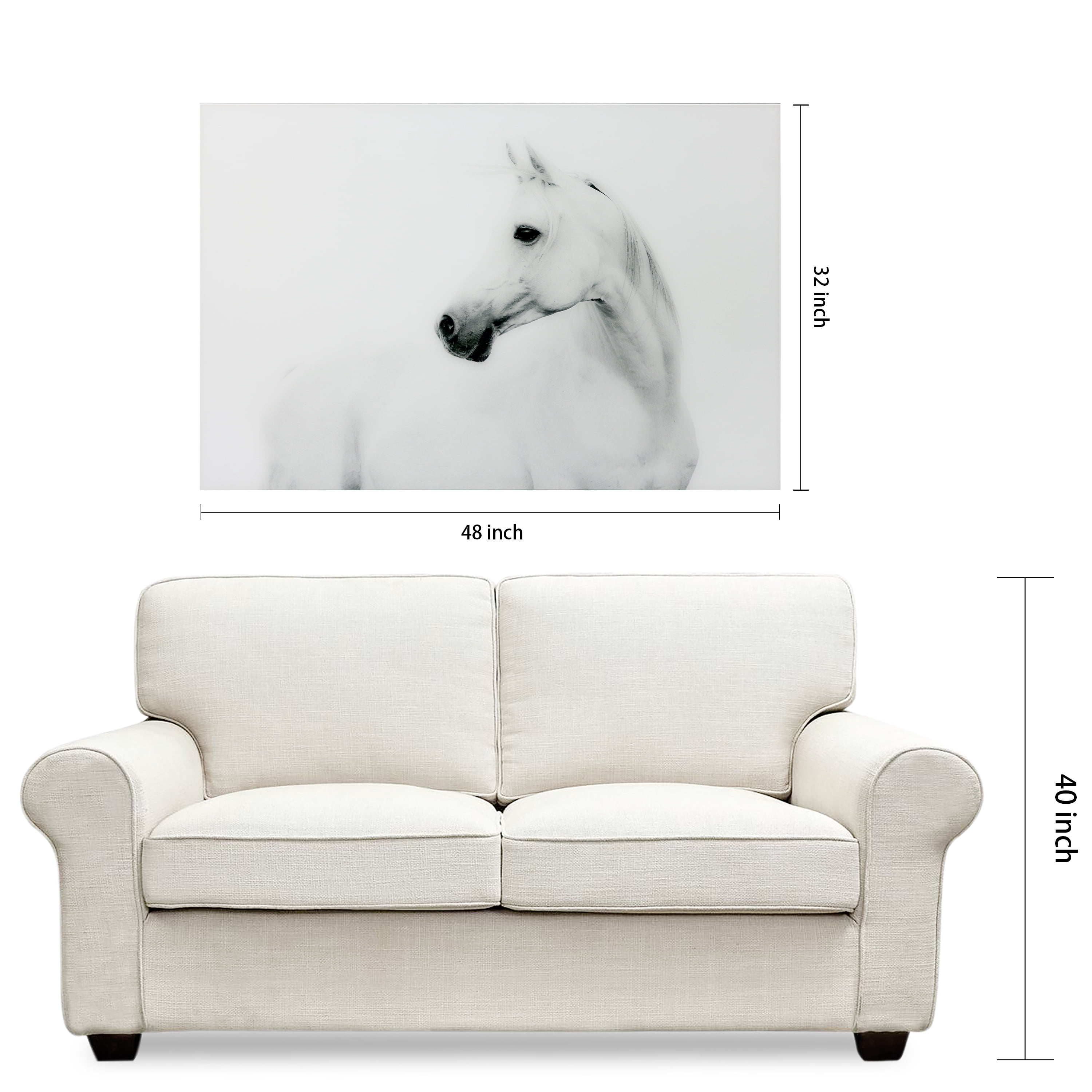 Empire Art Direct Blanco Stallion Horse Frameless Free Floating Tempered Glass Panel Graphic Wall Art, 48" x 32" x 0.2", Ready to Hang