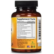 Turmeric Curcumin Supplement - 95% Curcuminoids with Glucosamine, Ginger & MSM, BioPerine Black Pepper Extract for Best Absorption, Natural Vegan Joint Support, Non-GMO, Bottled in USA - 60 Capsules