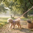 thumbnail image 6 of Dog Adjustable Harness Leash Set, H Shape Outdoor Walk Vest for Small Medium Breed, Control Handle on Back for Owner Grip, 6 of 6