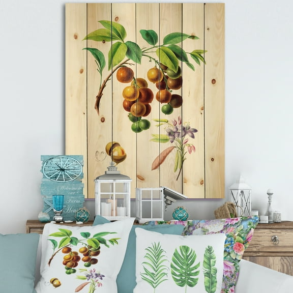 Designart 'Ancient Fruits III' Farmhouse Print on Natural Pine Wood