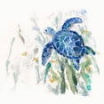 thumbnail image 3 of Swatland, Sally 15x15 Black Modern Framed Museum Art Print Titled - Turtle Cove II, 3 of 5