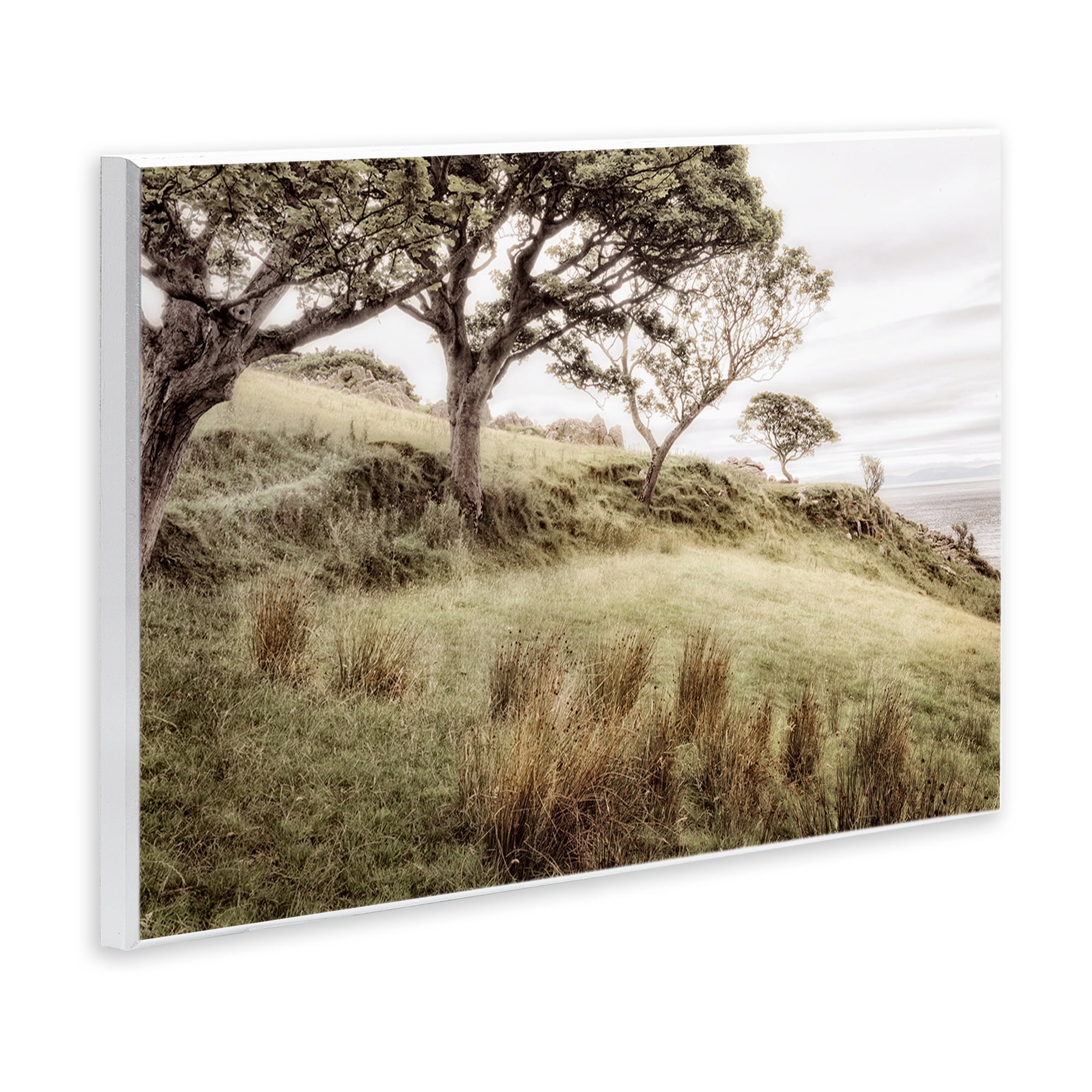 Stupell Industries Irish Hillside Landscape Wall Plaque Art, design by Andy Amos