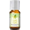 thumbnail image 1 of Ylang Ylang Scented Oil by Good Essential (Premium Grade Fragrance Oil) - Perfect for Aromatherapy, Soaps, Candles, Slime, Lotions, and More!, 1 of 1