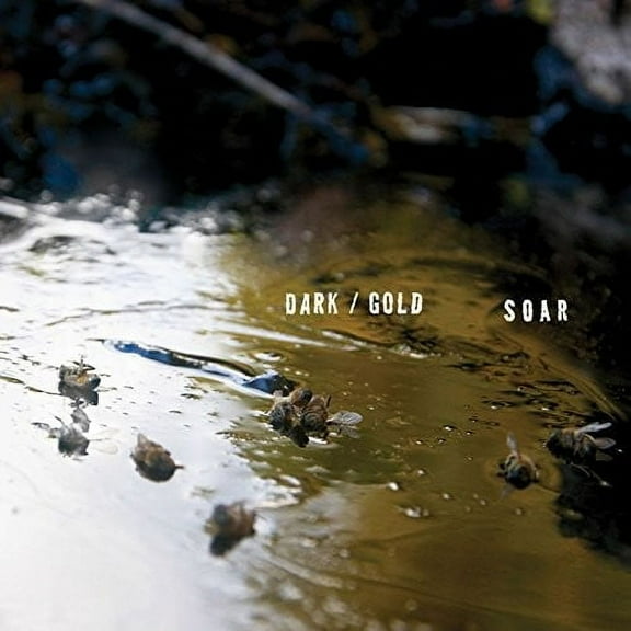Soar - Dark / Gold - Music & Performance - Cassette