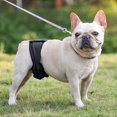 thumbnail image 4 of Washable Wrap Diapers for Male Dogs Reusable Male Dog Belly Band Breathable Male Dog Wraps, Pack of 3, 4 of 5