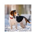 thumbnail image 1 of Pet Accessory Dog Pilot Cap Teddy Bear Winter Leather Hat, 1pc, 1 of 4
