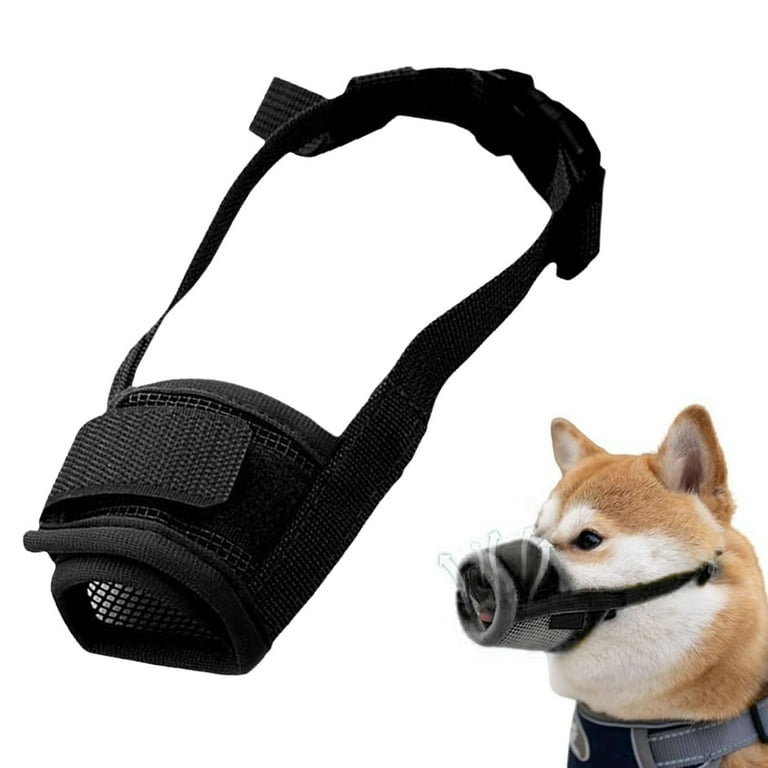 Trunk Spacer Dog Dog Accessories Online Shop Dog Lunging Accessories Dog Accessories for Large Dogs Dog Accessories Store Pet Supplies Plus near Me Pet Supplies For Small Dog Food Pet Supplies